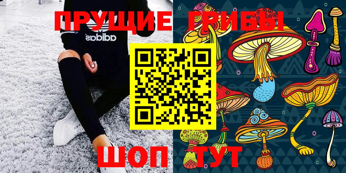 Псилоцибиновые грибы MAGIC MUSHROOMS Клинцы