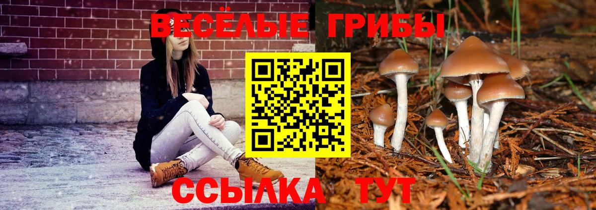 Псилоцибиновые грибы мицелий  где продают   Клинцы  Галлюциногенные грибы Cubensis  Вход с VPN 